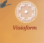 Visioform: Lebenshilfe und Publikationen